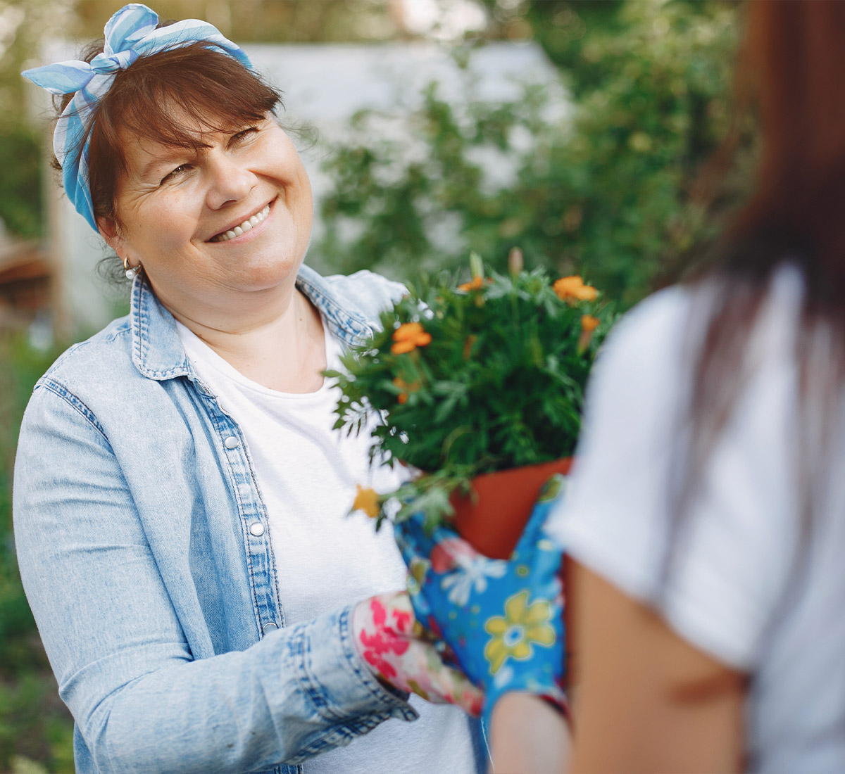 Ältere Frau arbeitet mit Blumen im Garten